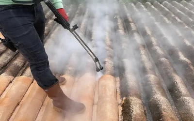 Le nettoyage à la vapeur basse pression de vos toitures, façades et sols à Dunes dans le Tarn-et-Garonne