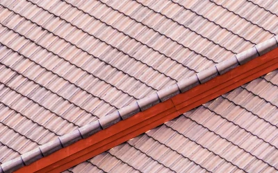 Nettoyage de toiture en basse pression vapeur sur Agen et agglomération – Vaporeno