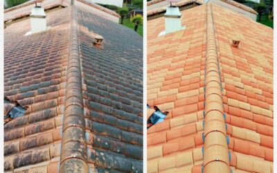 Entreprise de nettoyage de toiture sur Agen (47)