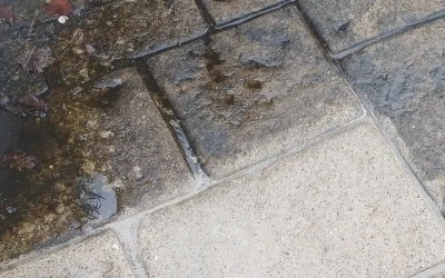 Vaporeno : L&rsquo;expert du nettoyage extérieur et de la rénovation en Lot-et-Garonne