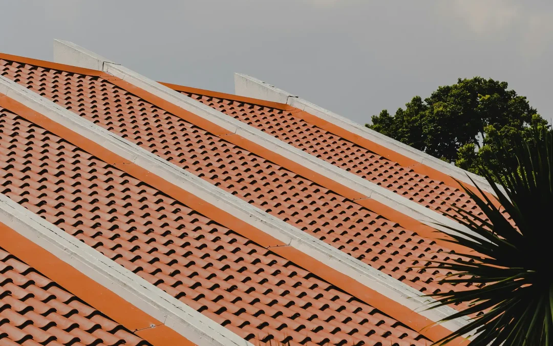 Nettoyage toiture Agen : Vaporeno, votre expert local en toit, façade et sol.