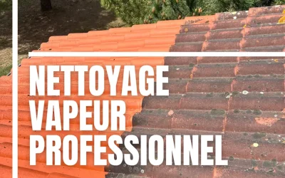 Rénovation de toiture Agen et Dunes