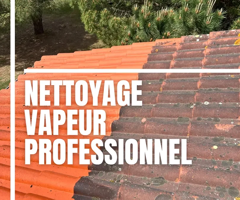 Rénovation de toiture Agen et Dunes