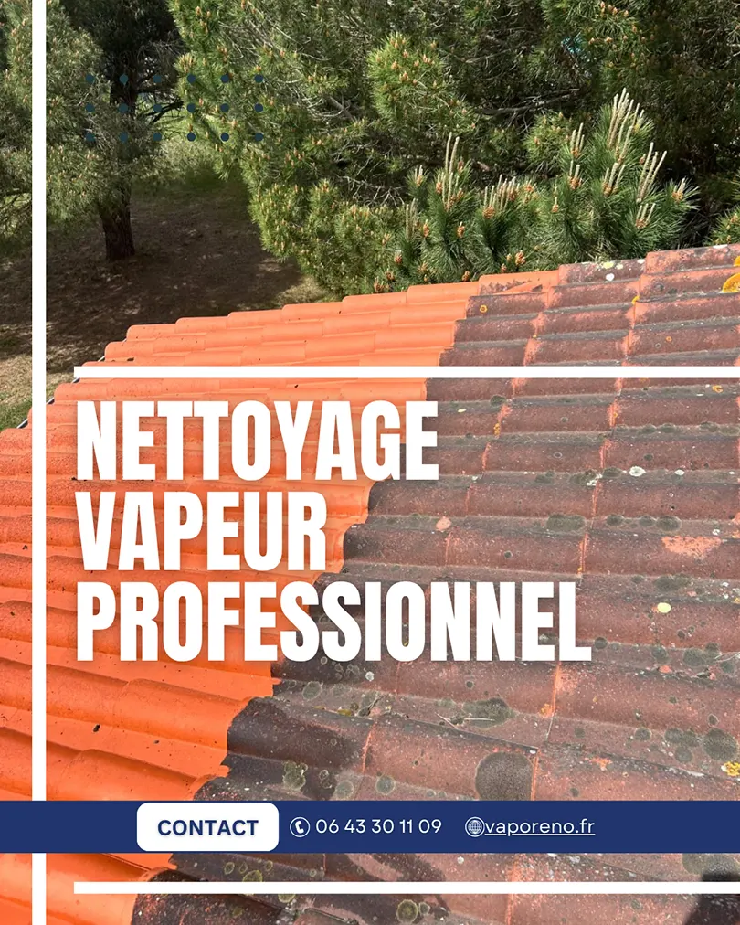 nettoyage à Dunes toiture