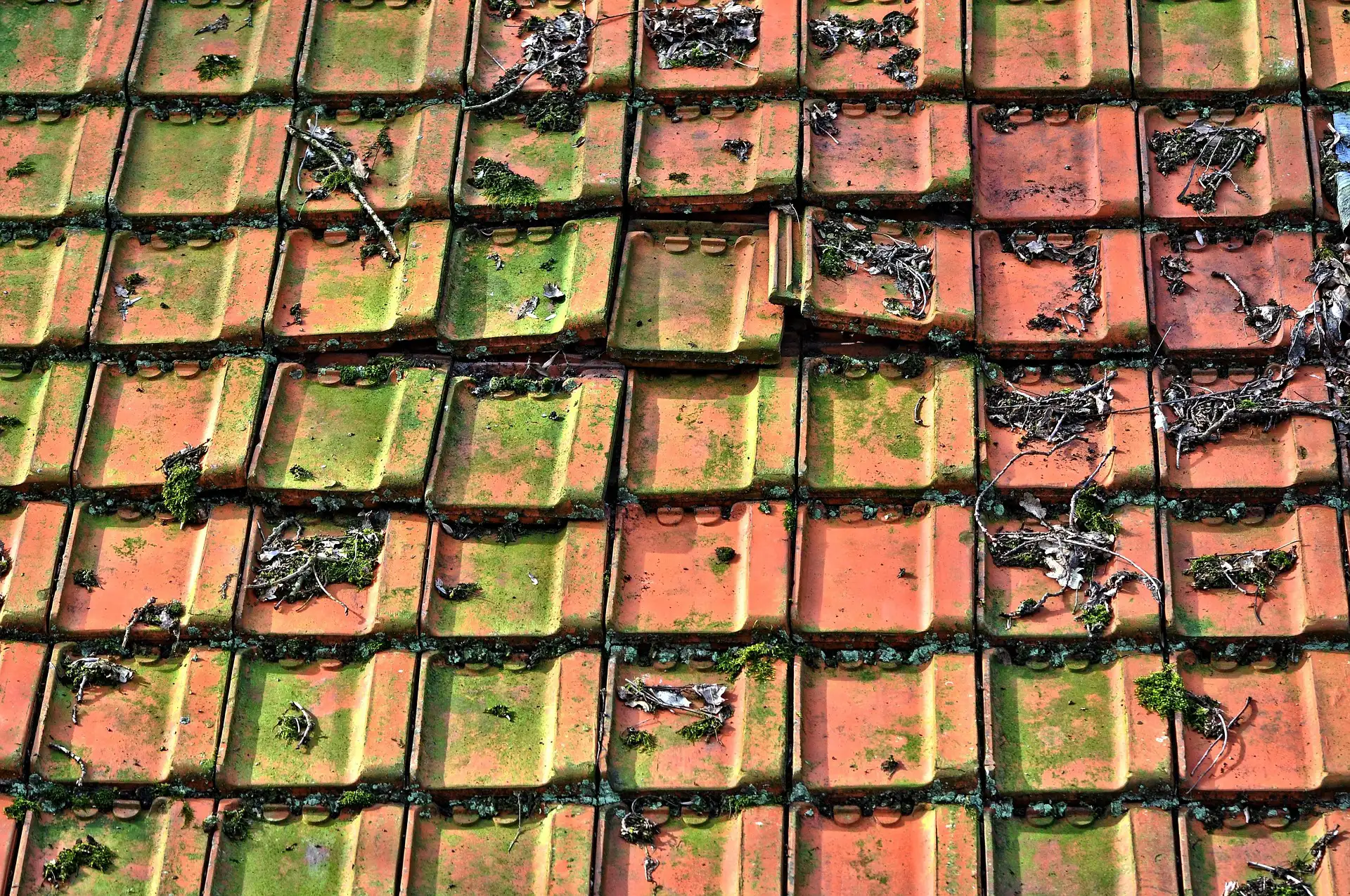 Rénovation Agen